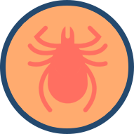 Remove Duct Insects