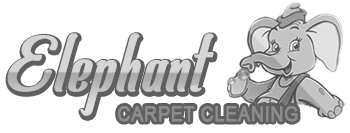 Elephant carpet Cleaning