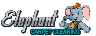 Elephant Carpet Cleaning in Houston TX