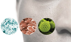 Improve Indoor Air Quality